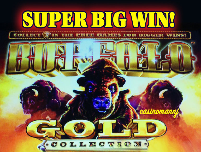 How To Play Buffalo Gold Slot Machine